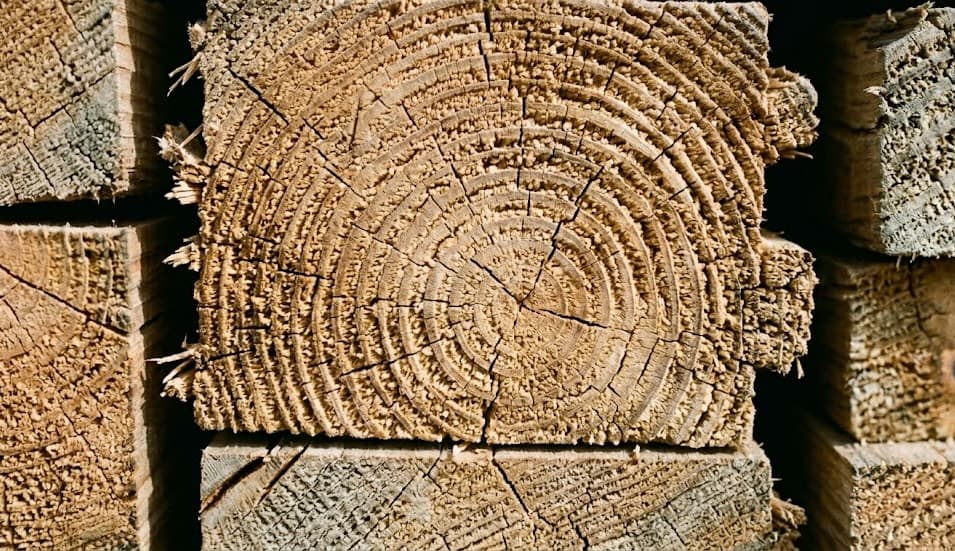 Stacks of reclaimed lumber ready for processing at Lumber Minneapolis